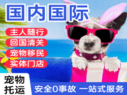 菏泽牡丹机场快运国际宠物托运 【国